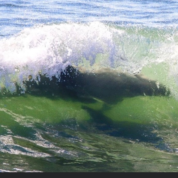 Meet your Posher, Angie - Picture 12 of 13